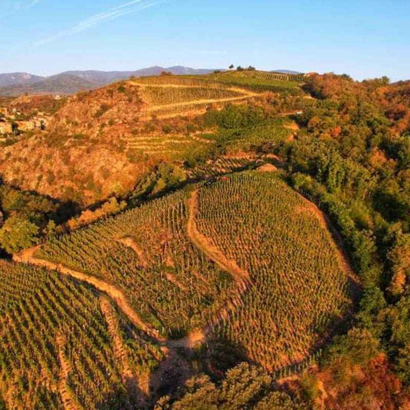 Domaine de la Favière produit Image