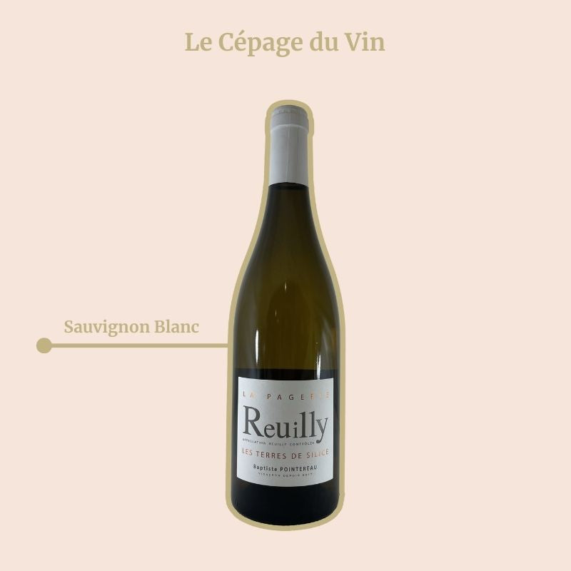 Domaine de la Pagerie Terre de Silice Blanc Cépage