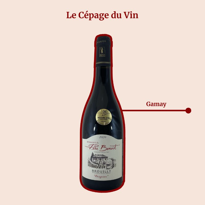 Domaine du Père Benoît Bergeron Cépage