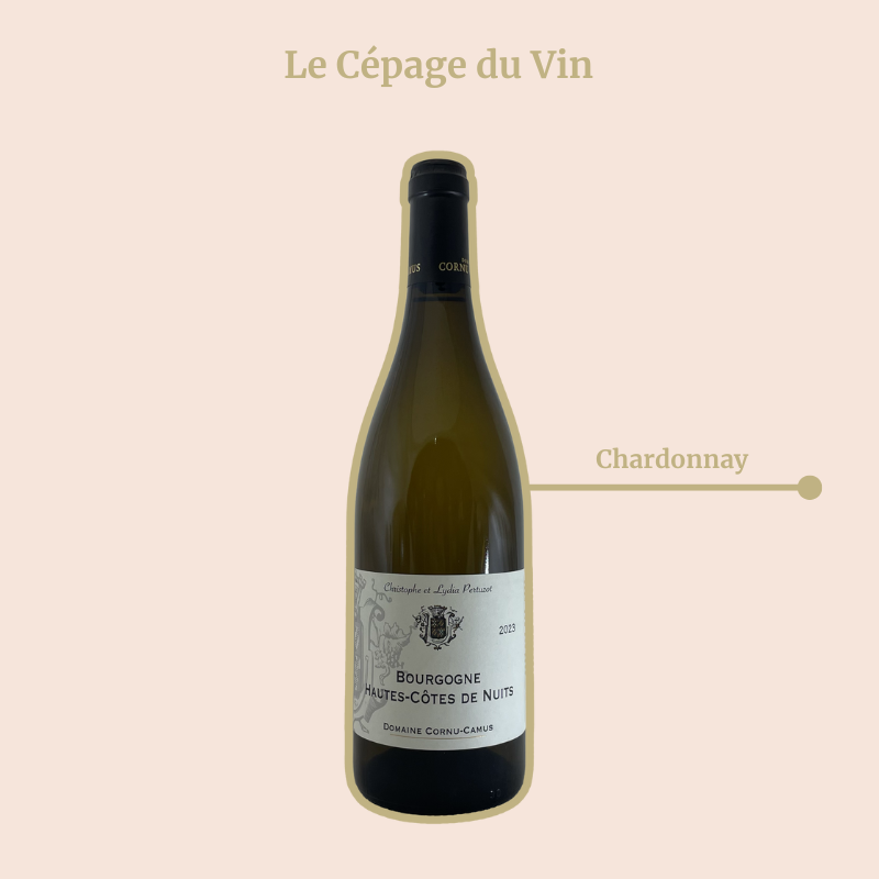 Domaine Cornu-Camus Hautes Côtes de Nuits Blanc Cepage
