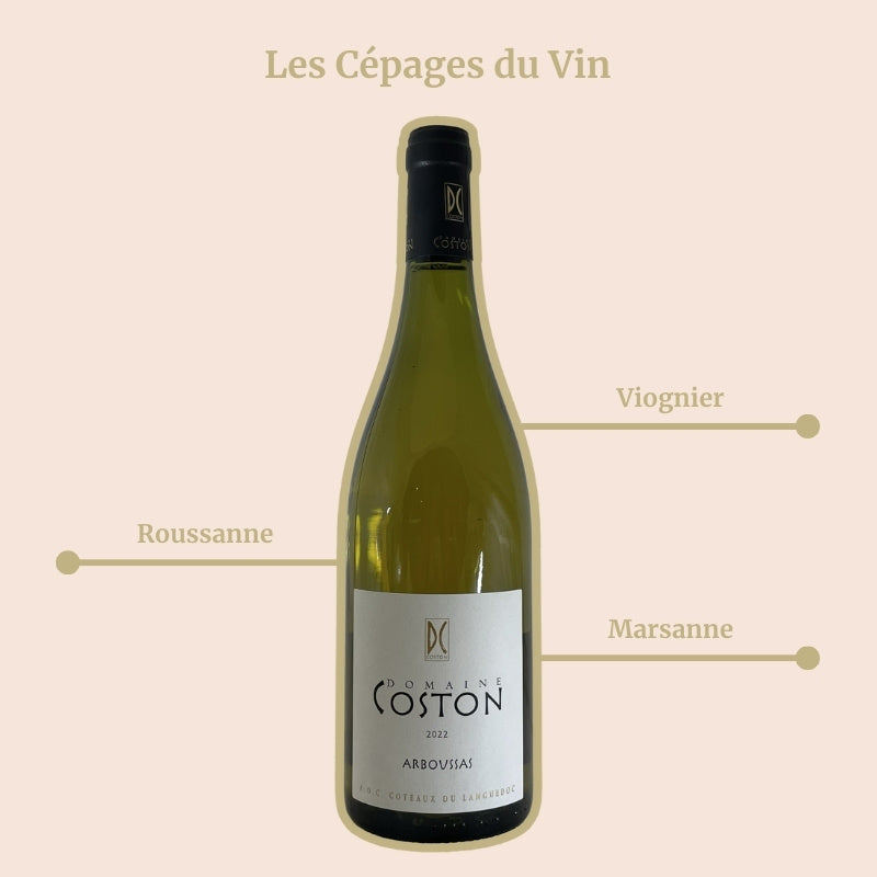 Domaine Coston Arboussas Blanc Cépages