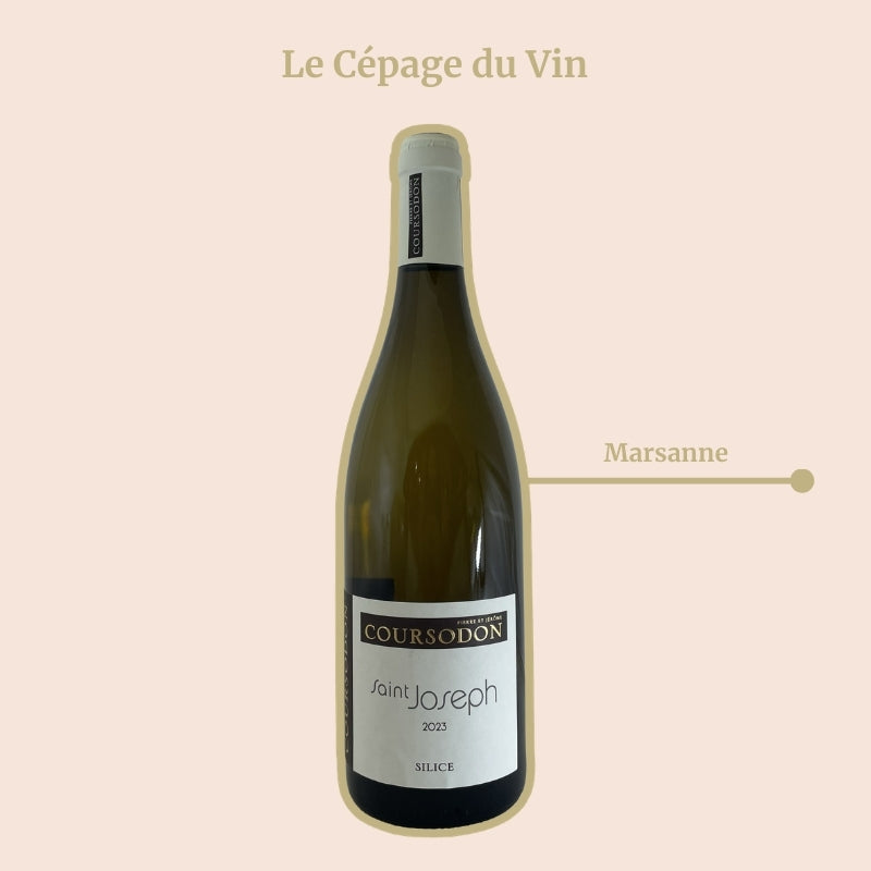 Domaine Coursodon Silice Blanc Cépage