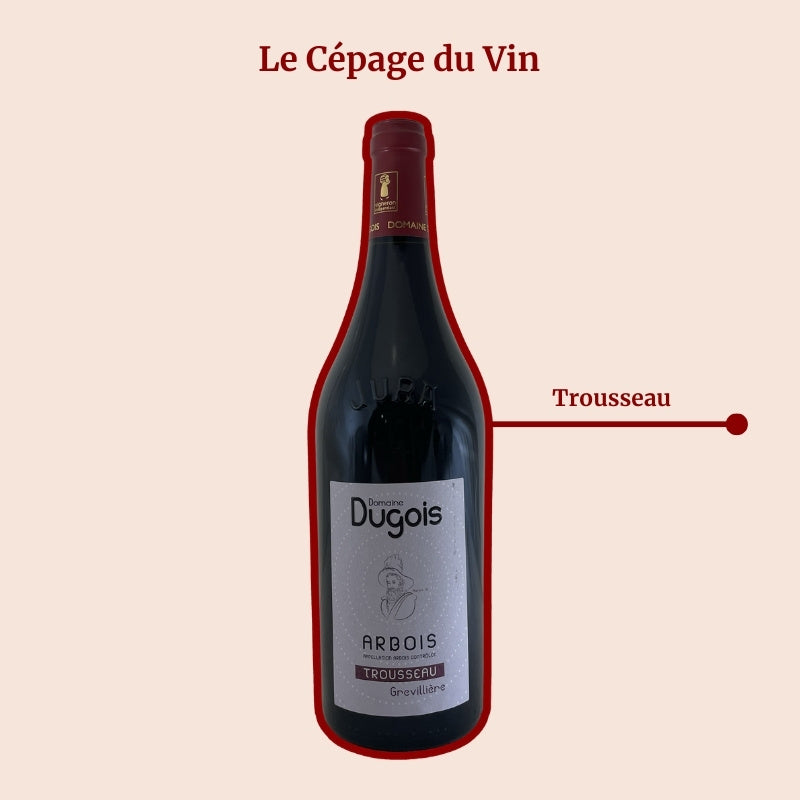 Domaine Daniel Dugois Trousseau Grevillière Cépage