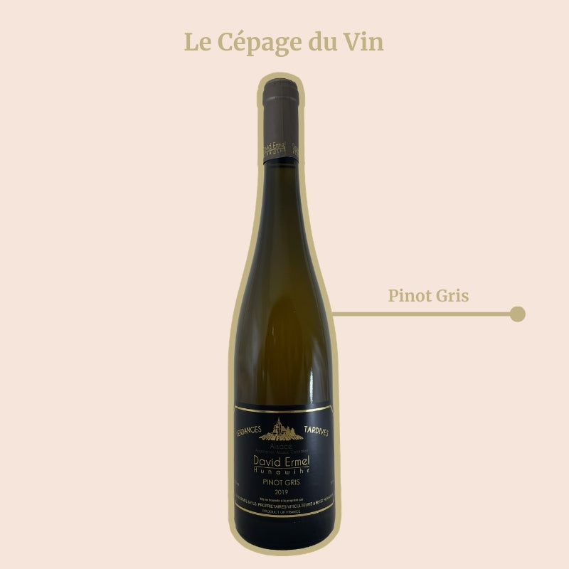 Domaine David Ermel Pinot Gris Vendanges Tardives Cépage