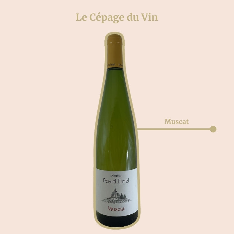 Domaine David Ermel Muscat Cépage