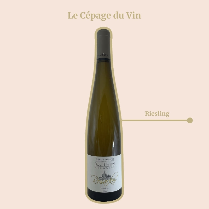 Domaine David Ermel Rosacker Riesling Cépage