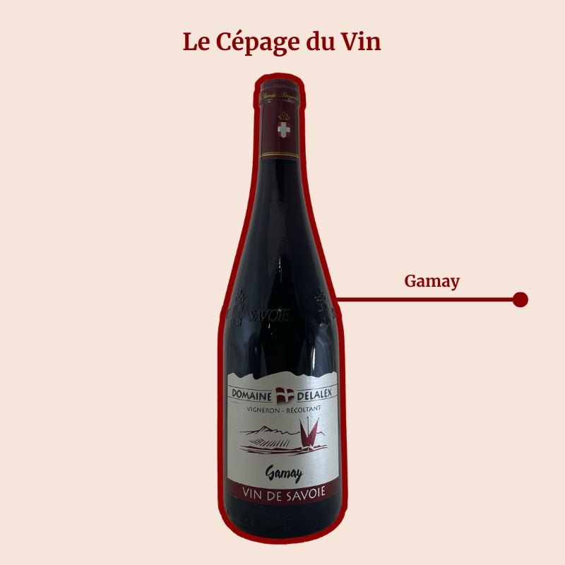 Domaine Delalex Gamay Cépage