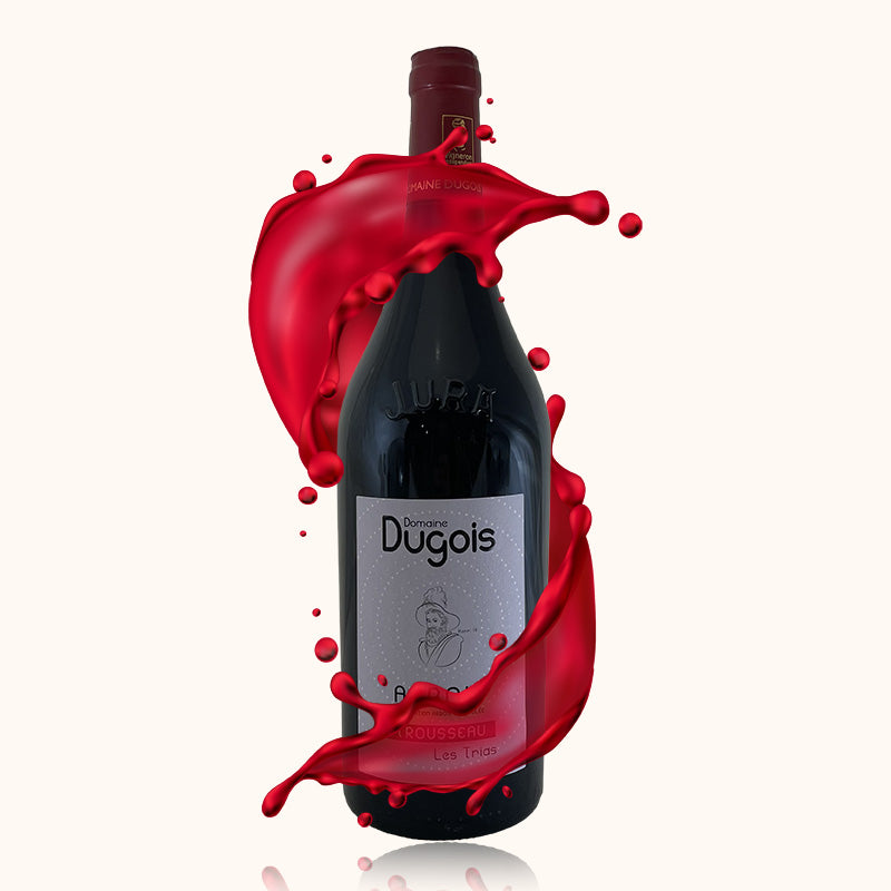 Domaine Dugois Les Trias bouteille