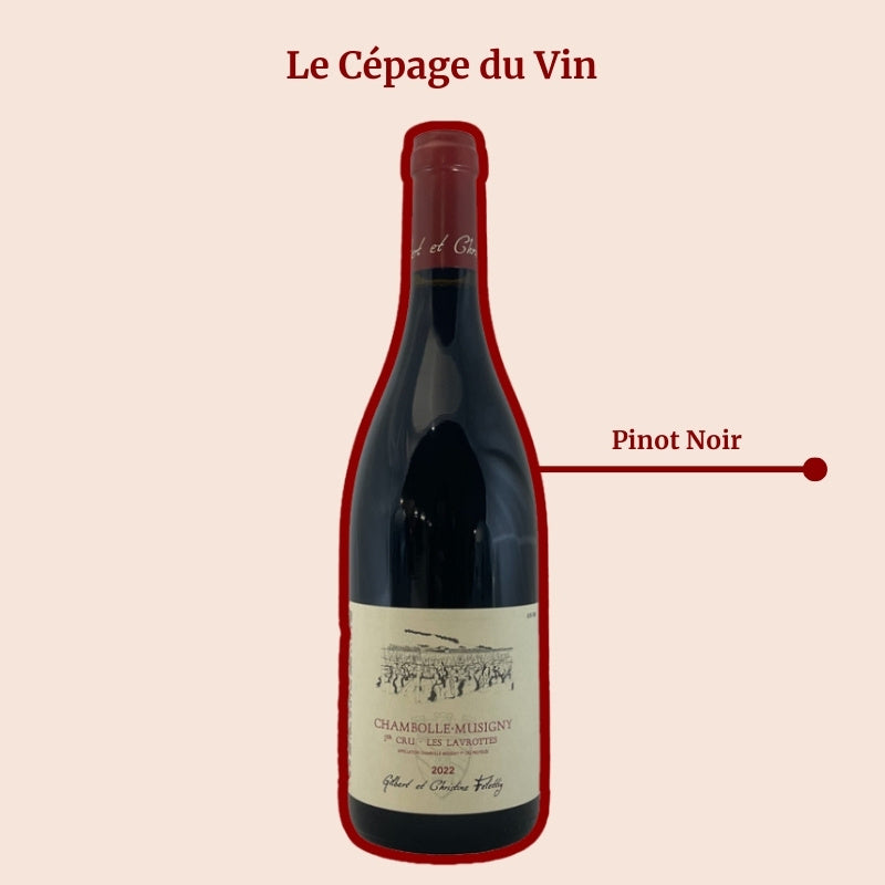 Domaine Felettig Les Lavorottes Cépage