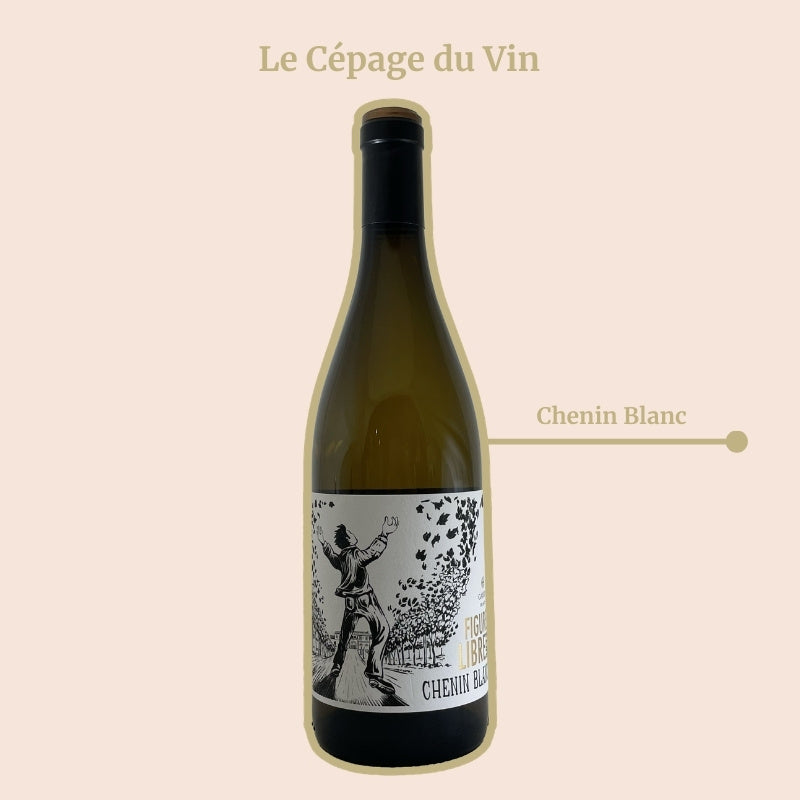 Domaine Gayda Figure Libre Cepage