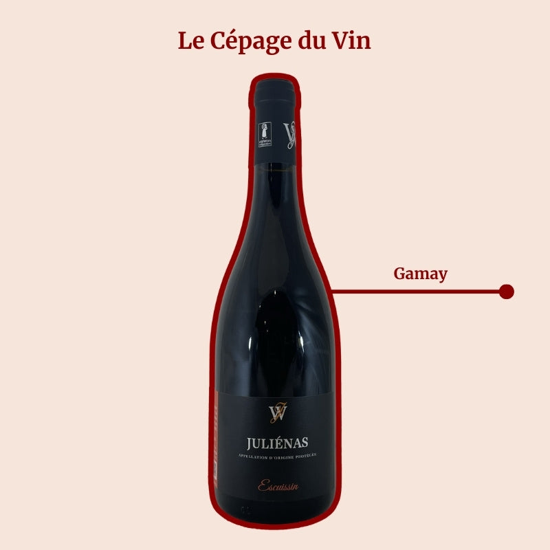 Domaine Juillard-Wolkowicki Escuissin Cepage