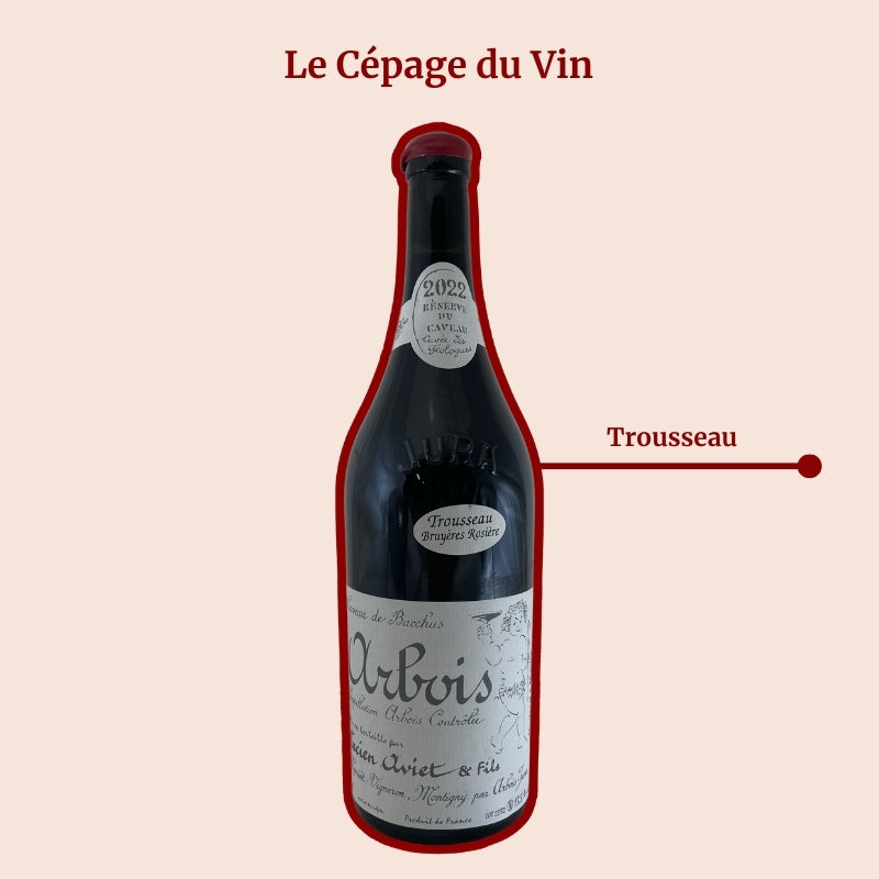 Domaine Lucien Aviet Trousseau Cépage