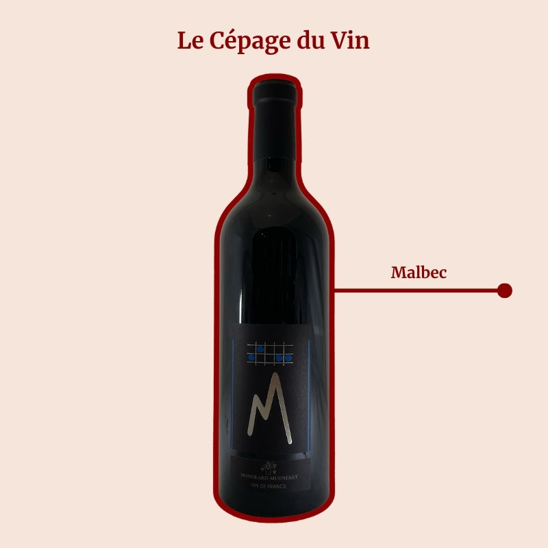 Domaine Mongeard-Mugneret Cuvée M Cépage