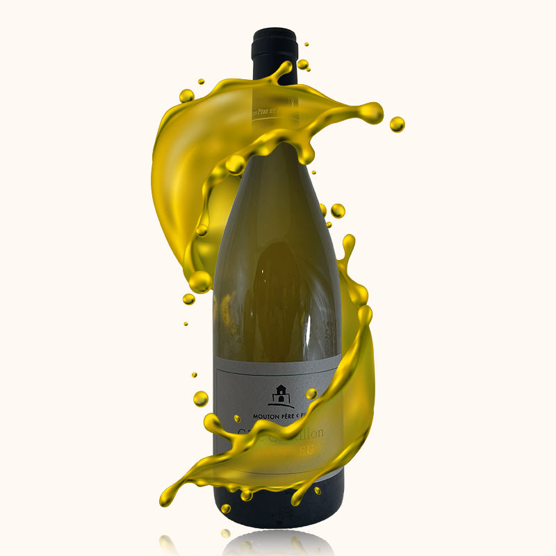 Domaine Mouton Côte Chatillon bouteille