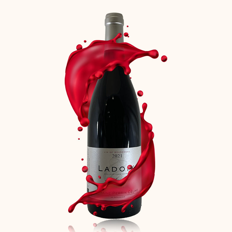 Domaine Perrin Céline Les Briquottes bouteille