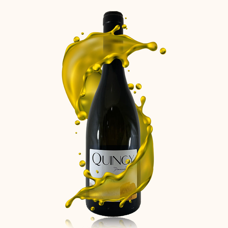 Domaine Tatin Cuvée Chaumoux bouteille