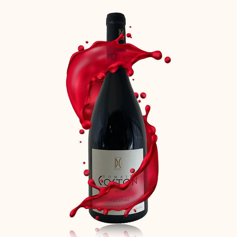 Domaine coston arboussas rouge bouteille