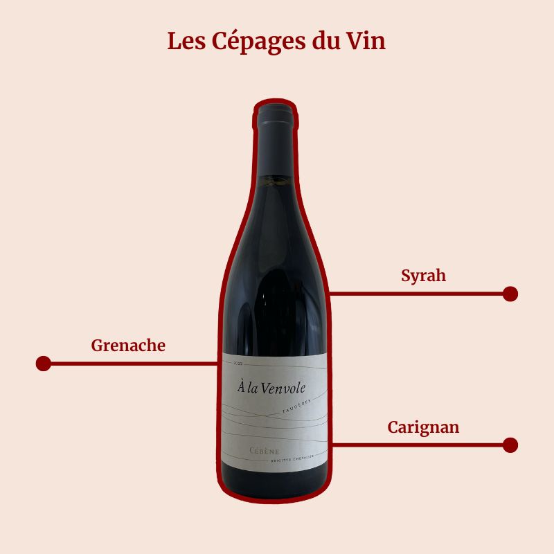 Domaine de cebene a la venvole Cépages
