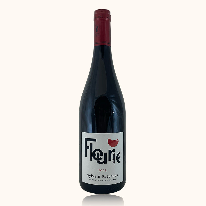 Domaine des Deux Fontaines Sylvain Paturaux Image
