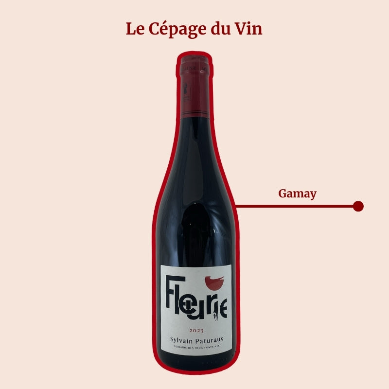 Domaine des Deux Fontaines Sylvain Paturaux Cépage