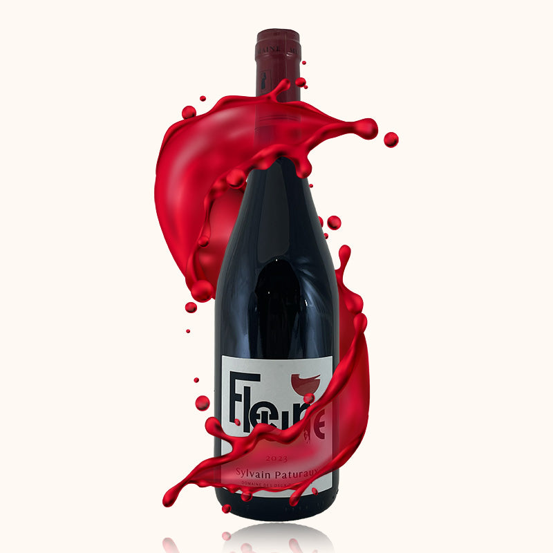 Domaine des Deux Fontaines Sylvain Paturaux bouteille