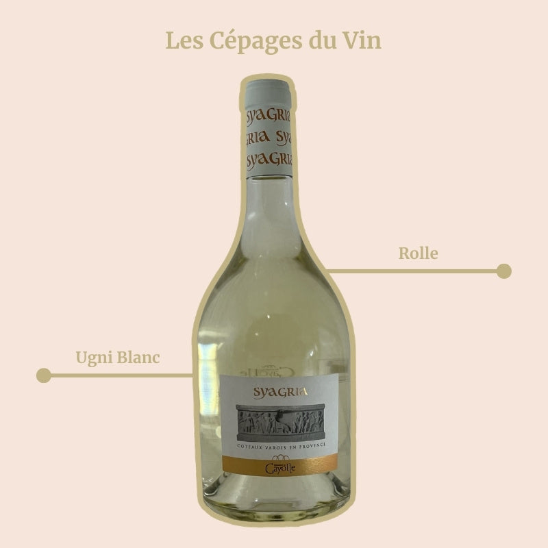 Domaine la Gayolle Syagria Blanc Cépages