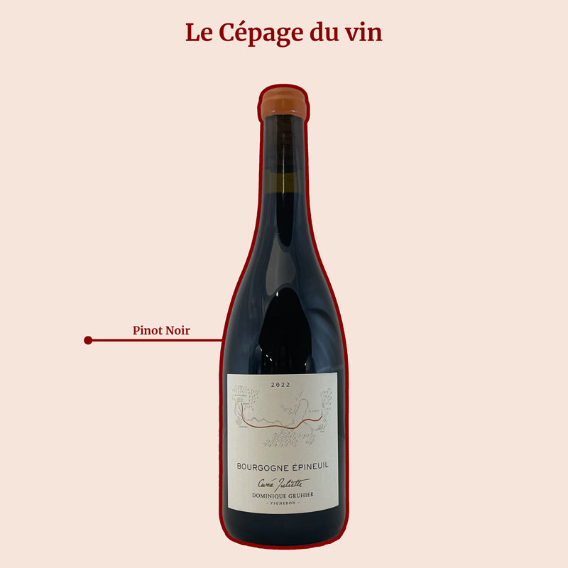 Dominique gruhier cuvée juliette cépage