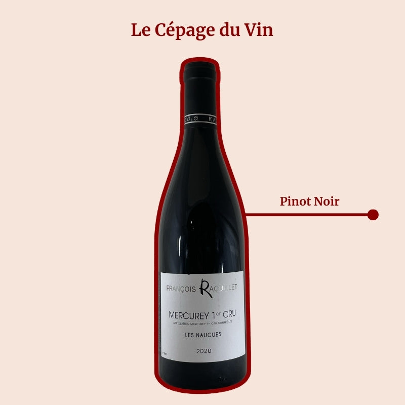 François Raquillet Les Naugues Cépage