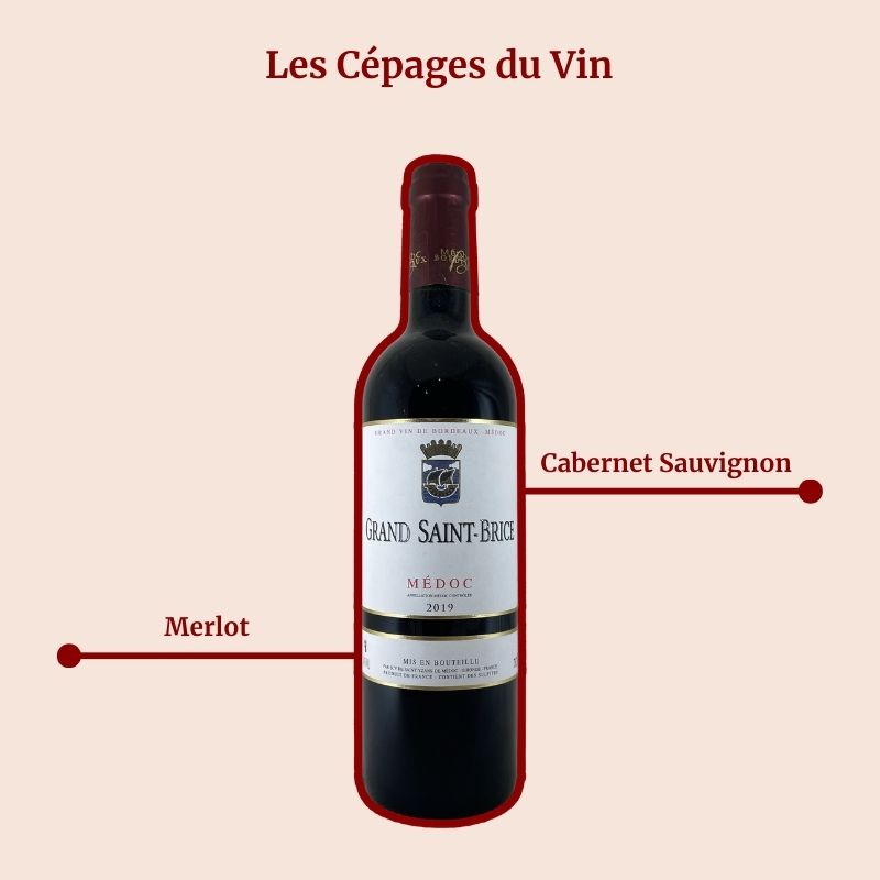 Grand Saint-Brice Médoc Cépage