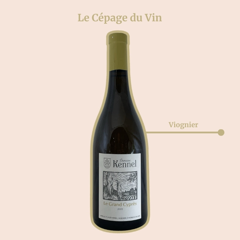 Le Grand Cyprès Blanc du Domaine Kennel Cepage