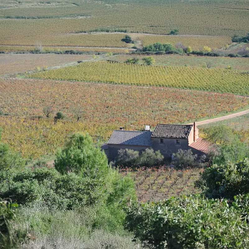 Mas de Cynanque produit Image