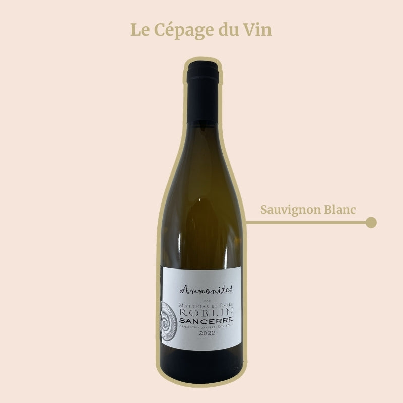 Matthias et Emile Roblin Sancerre Ammonites Cépage