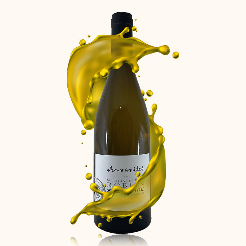 Matthias et Emile Roblin Sancerre Ammonites bouteille