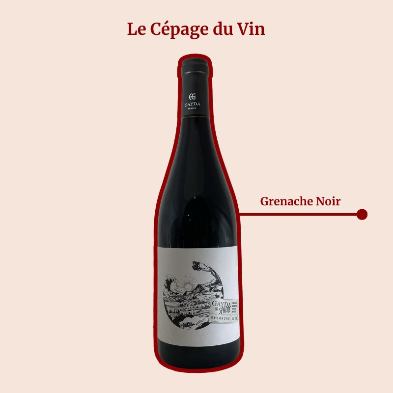 Pays d’Occ Domaine Gayda Cépage