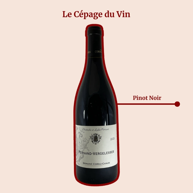 Pernand Vergelesses Domaine Cornu Camus Cépage