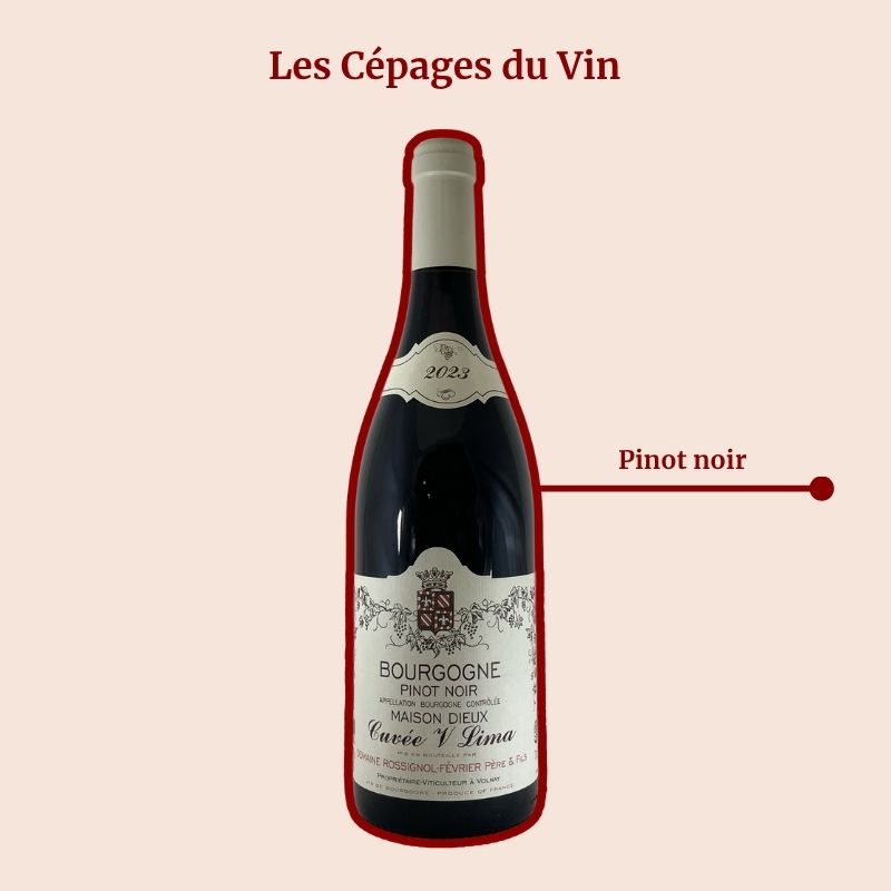 Rossignol-Février Cuvée V Lima Cépage