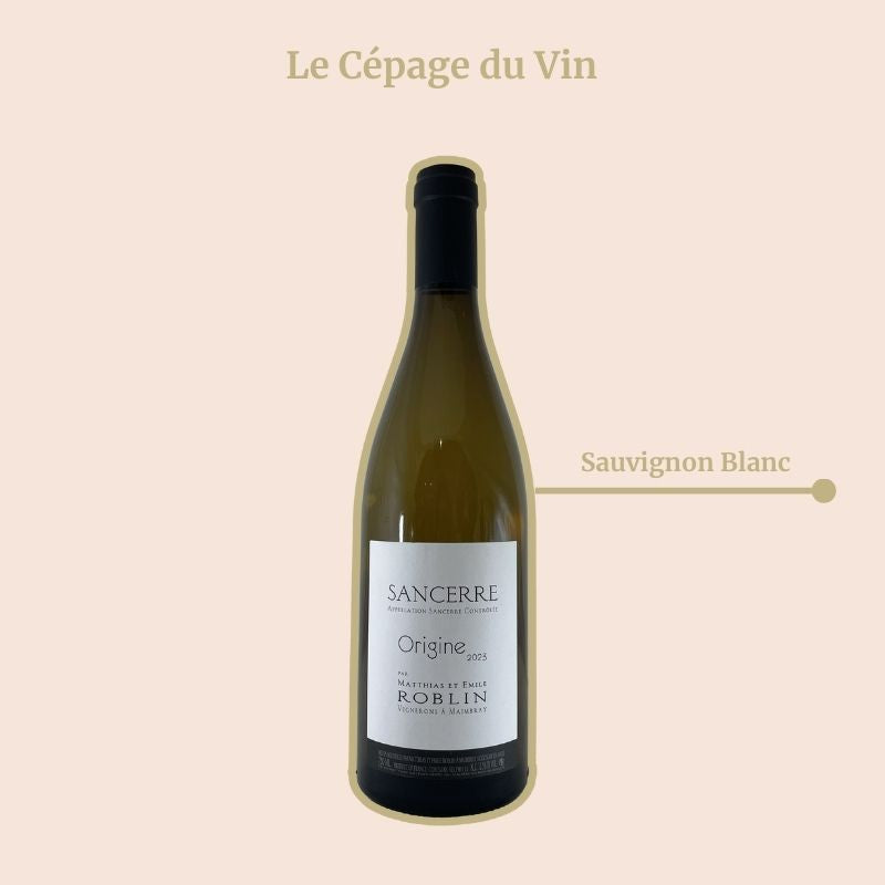 Sancerre Roblin Origine Cépage