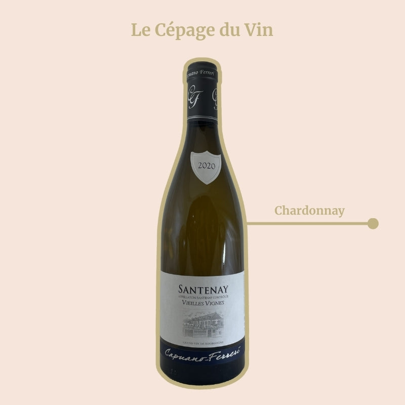Santenay Blanc Vieilles Vignes Capuano-Ferreri Cépage