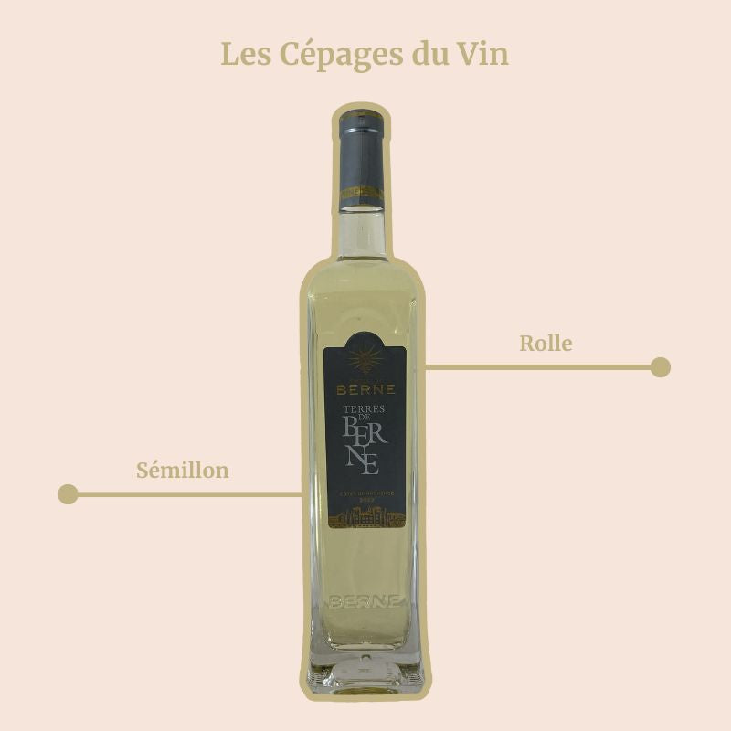 Terres de Bernes Blanc Cépages