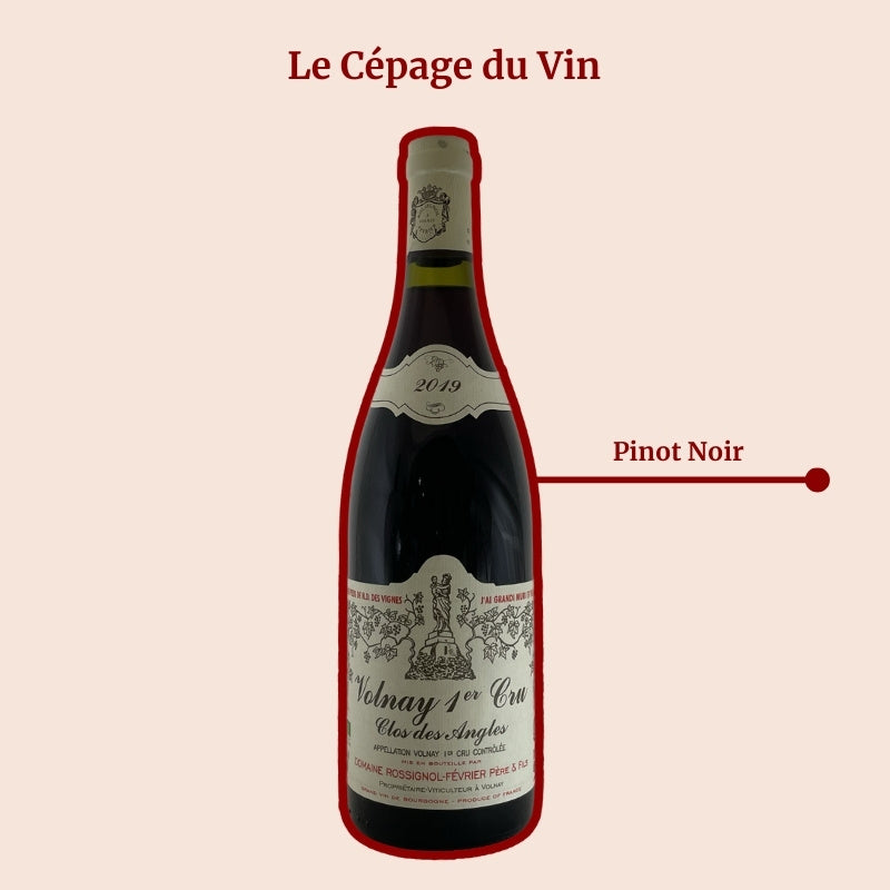Volnay Premier Cru Clos des Angles de Rossignol Février Cépages