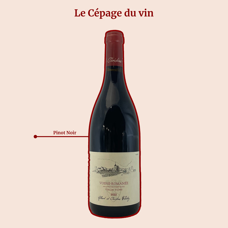 Vosne Romanée Domaine Felettig Vieilles Vignes Cépage